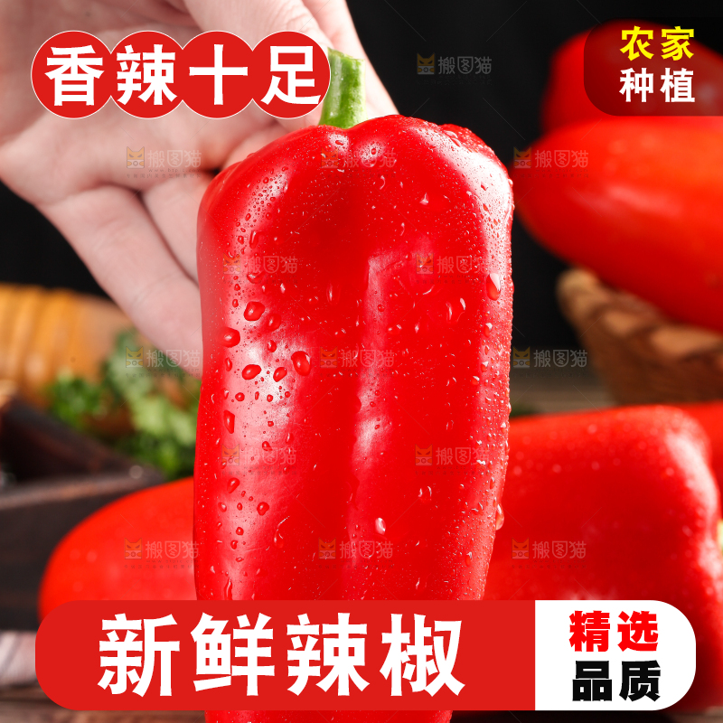 石板上的山东红辣椒