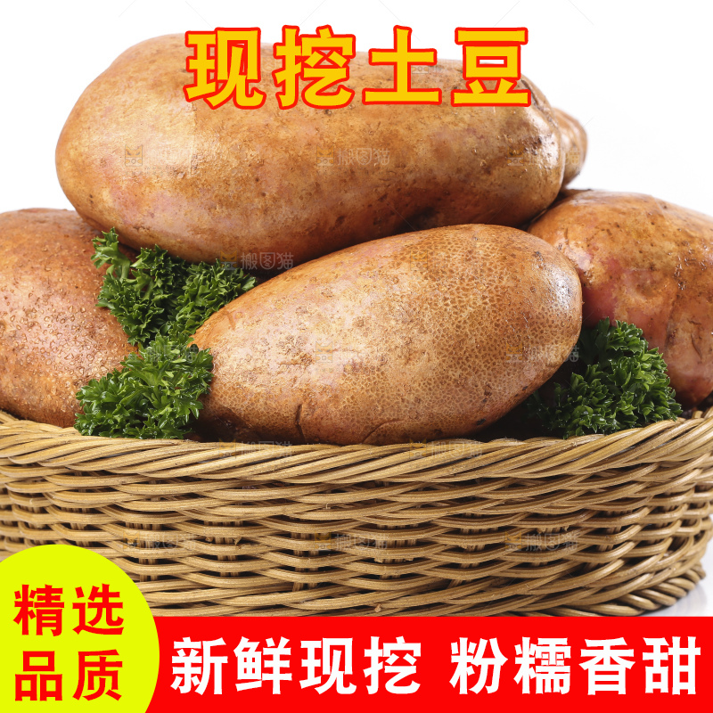 篮子里装着新鲜土豆