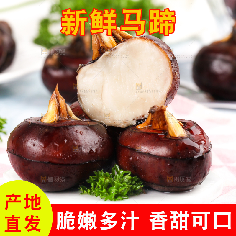 彩底上放着红马蹄