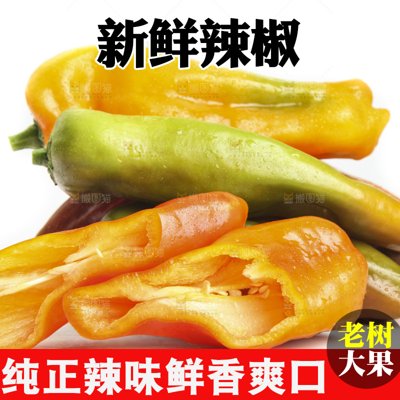 白底上的彩色辣椒
