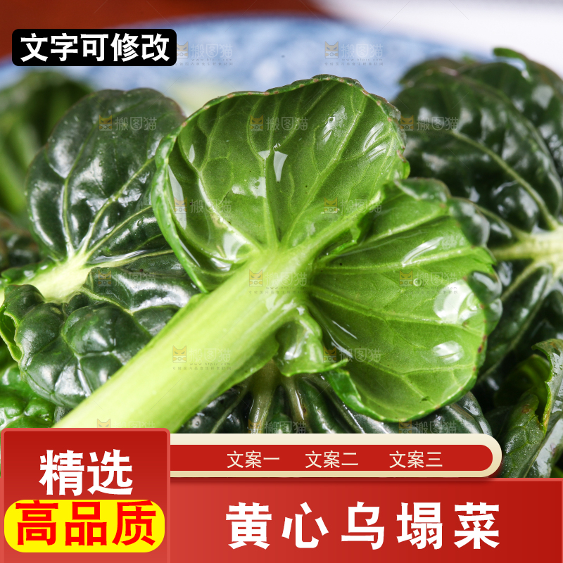 木板上的乌塌菜