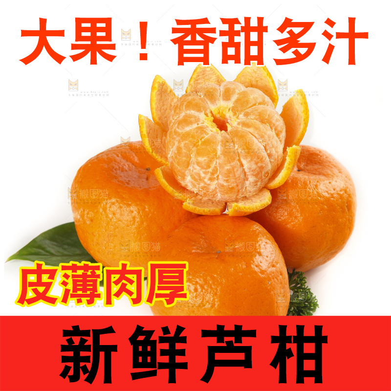 白底上的椪柑橘
