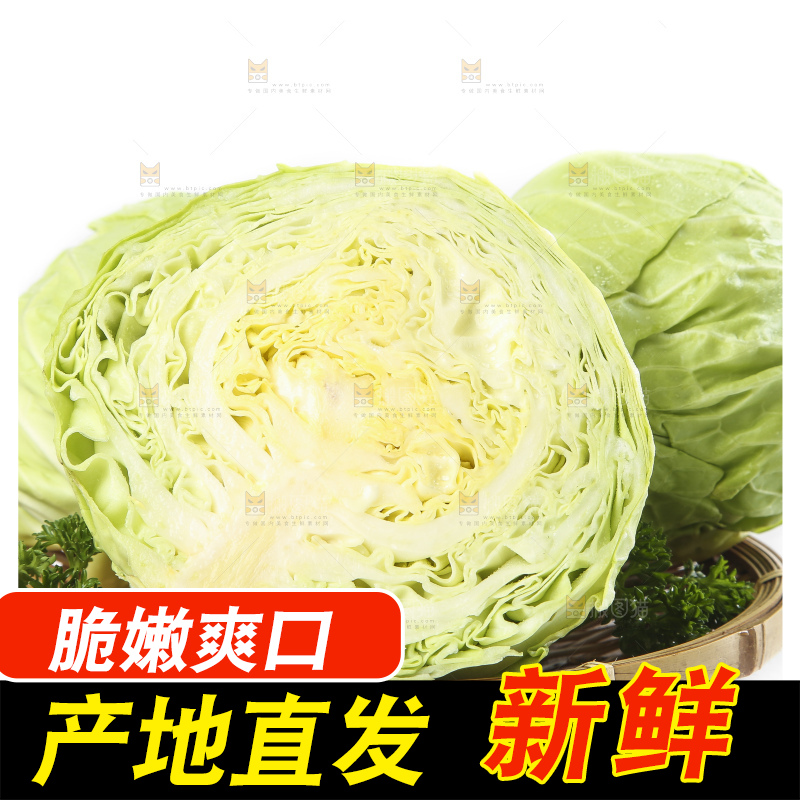 白底上摆放着包菜