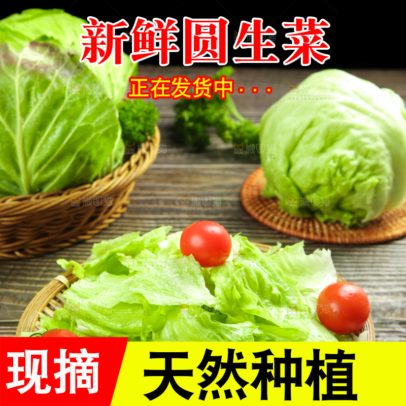 深底上的圆形生菜