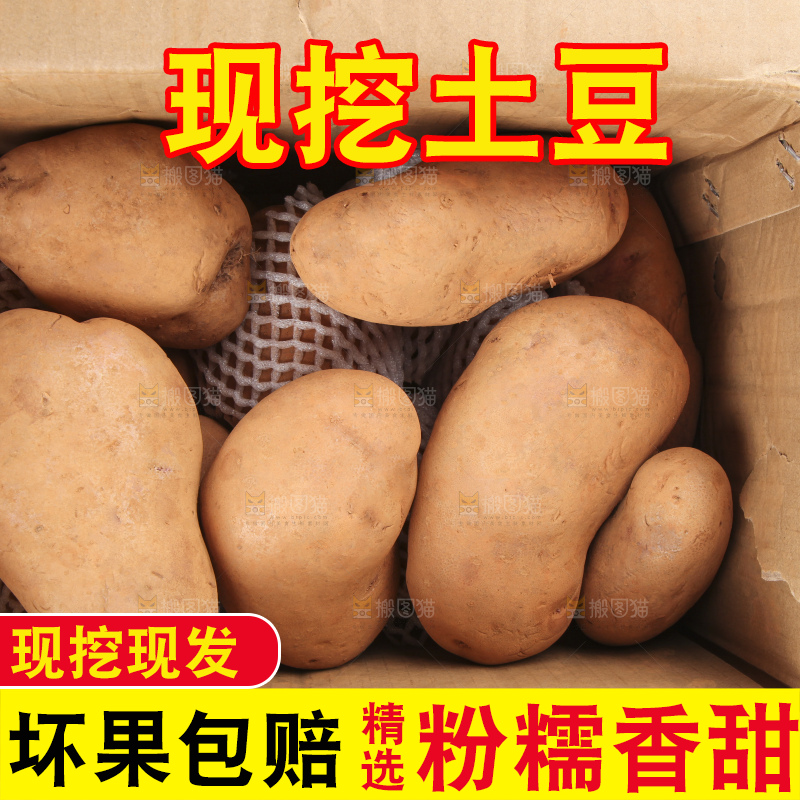 箱子里装着黄土豆