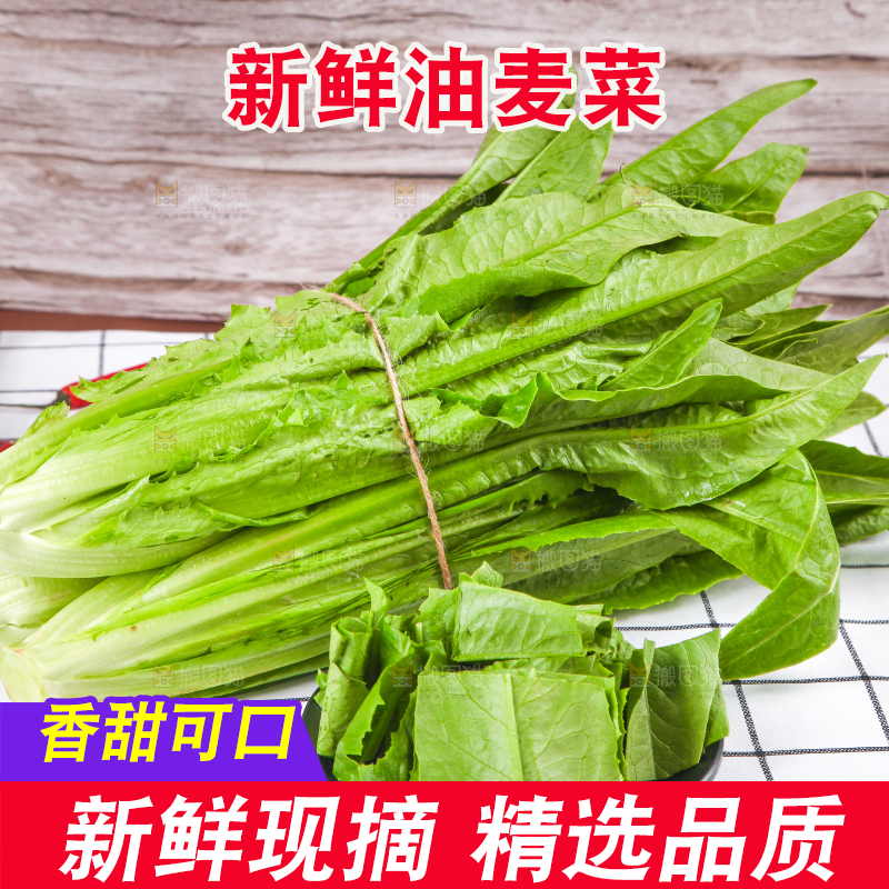 白格子底上放着新鲜油麦菜