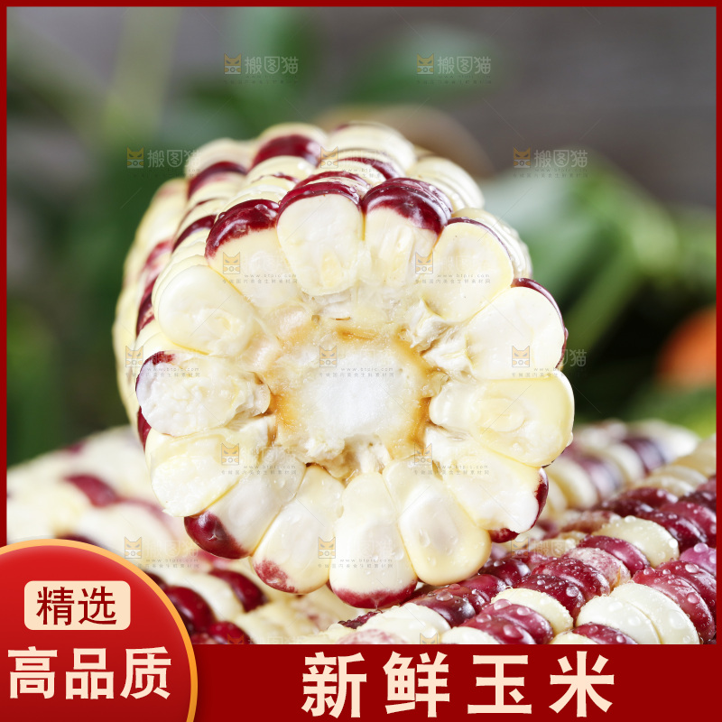 深底上的花糯玉米