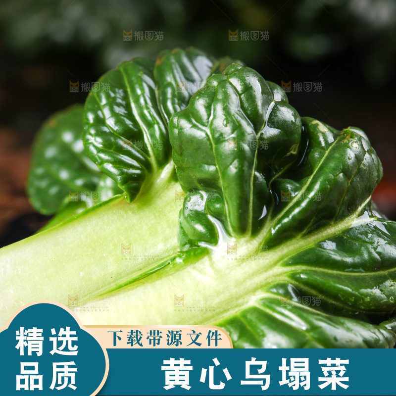 盘子里装着农家乌塌菜