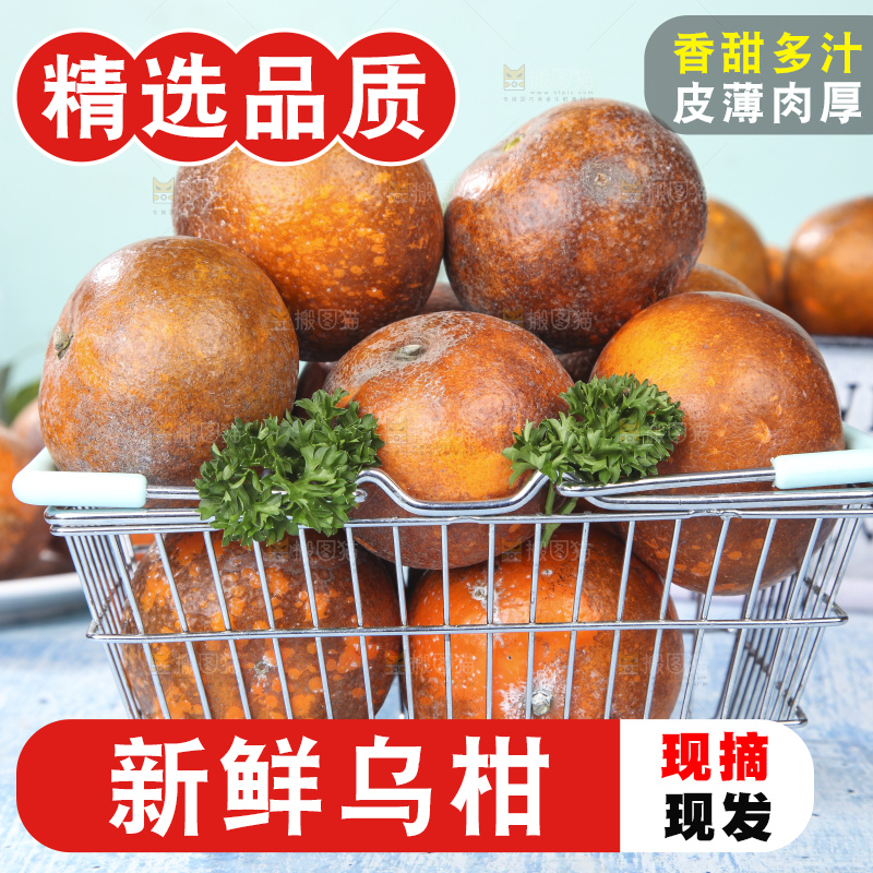 蓝底上摆放着乌柑