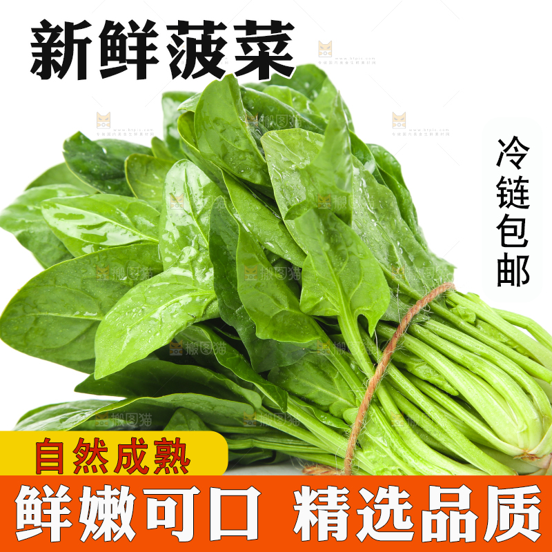 白底上放着菠菜
