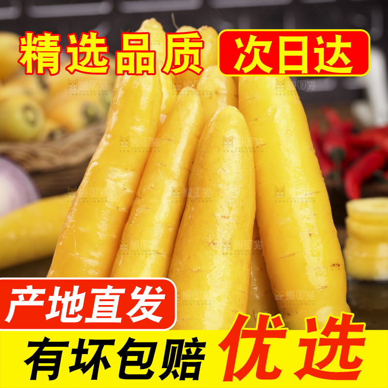 木板上的沙地胡萝卜
