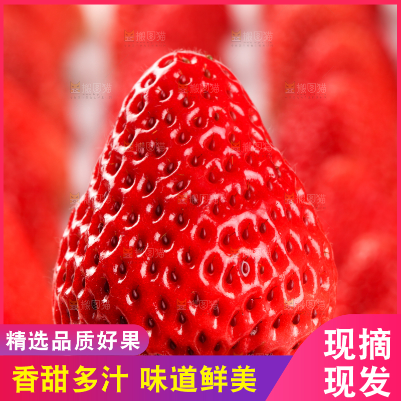白底上放着一箱新鲜草莓