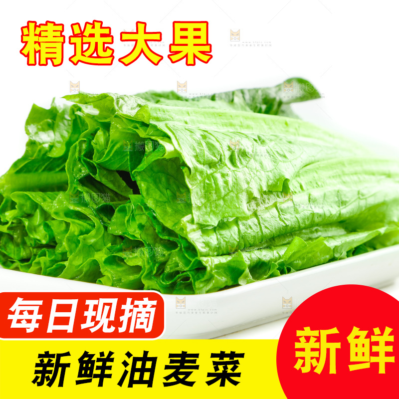 白底上放着油麦菜