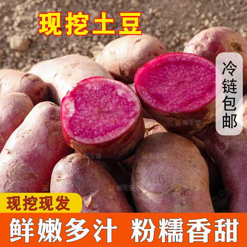 土地上放着红心土豆