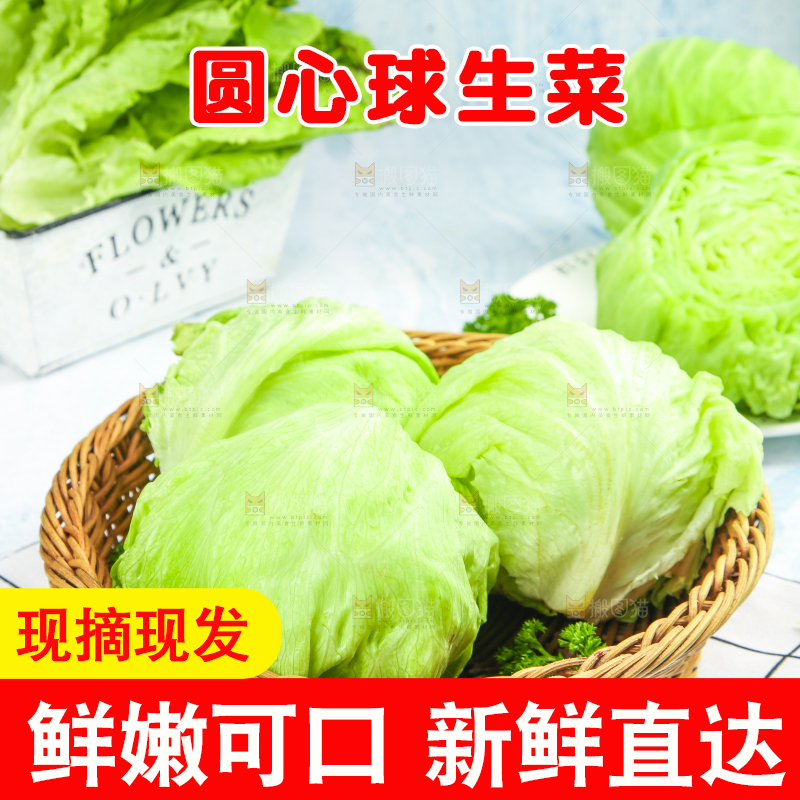 篮子里放着圆生菜
