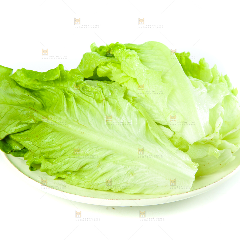 白底上的生菜