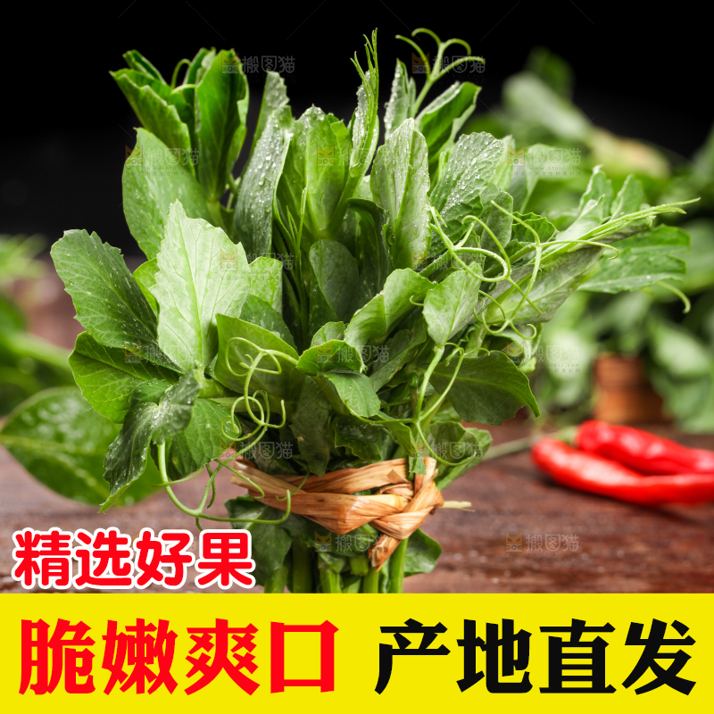 深底上的四川豌豆尖