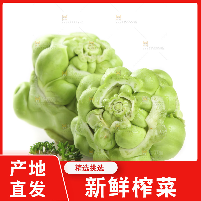 白底上放着芥菜头