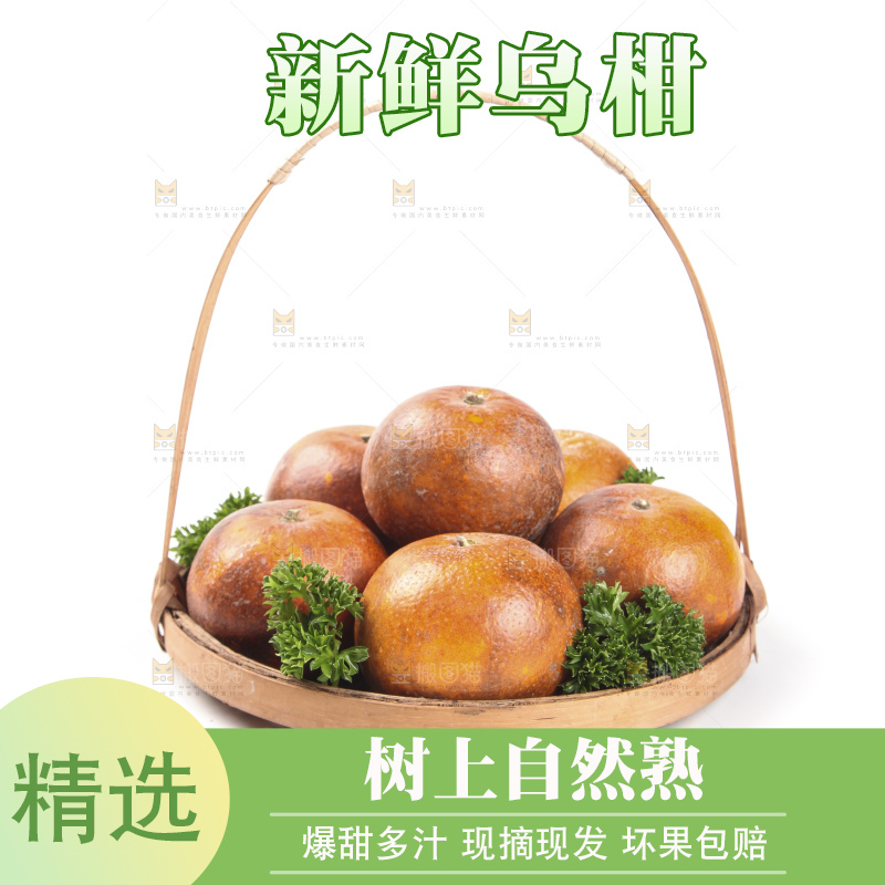 篮子里的广西乌柑
