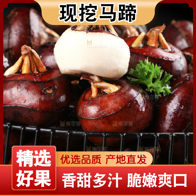 深底上的广西荔浦马蹄