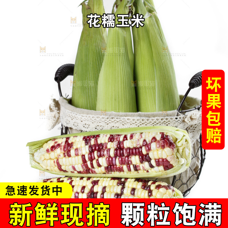 白底上放着剥皮的花糯玉米
