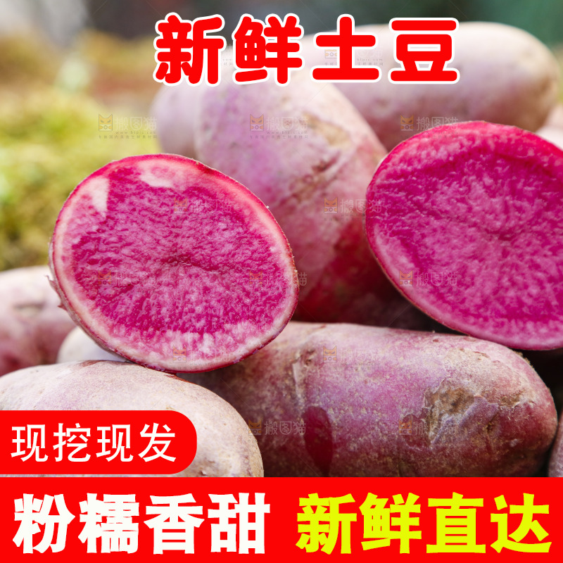 草地上放着红色马铃薯