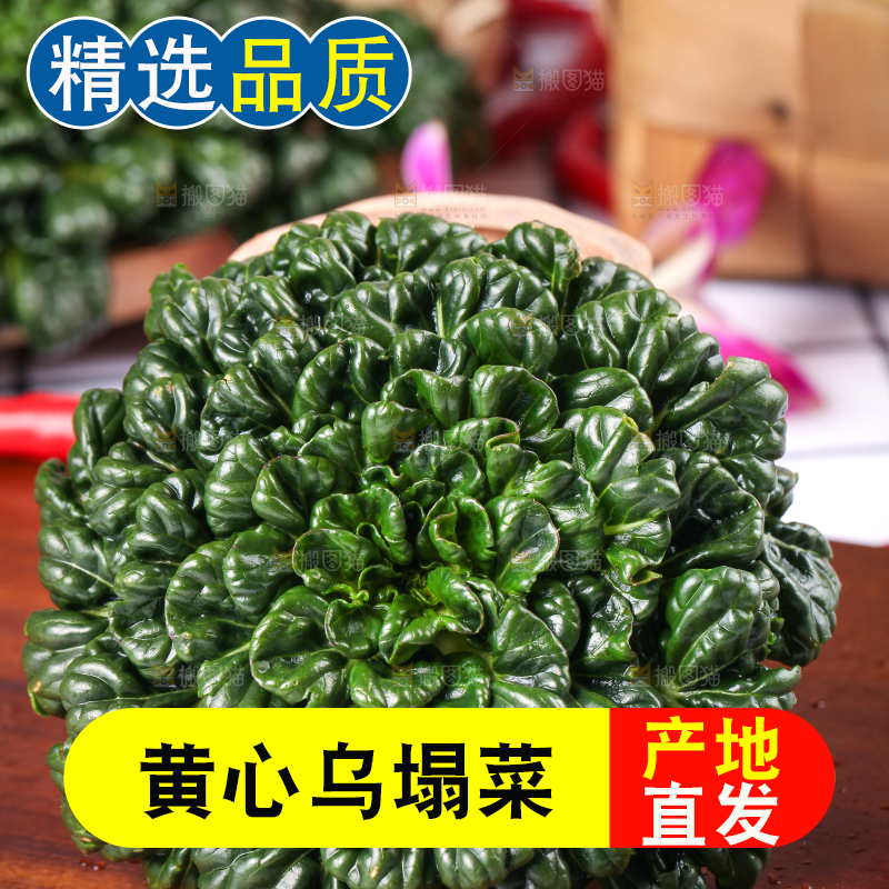 木板上的乌塌菜