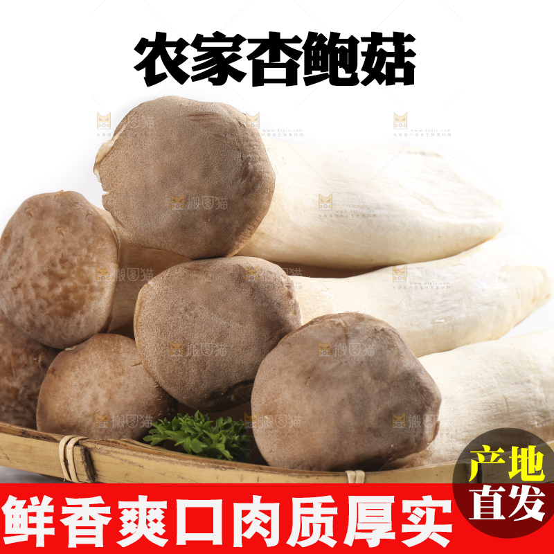 白底上放着大鸡腿菇