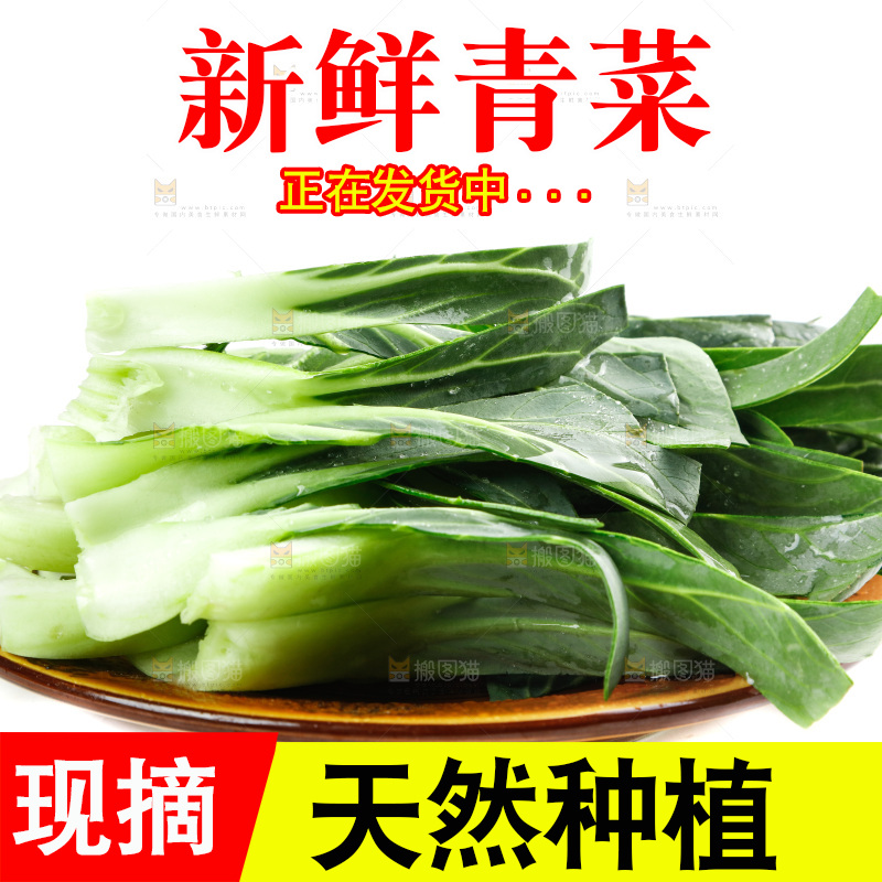 白底上放着青菜
