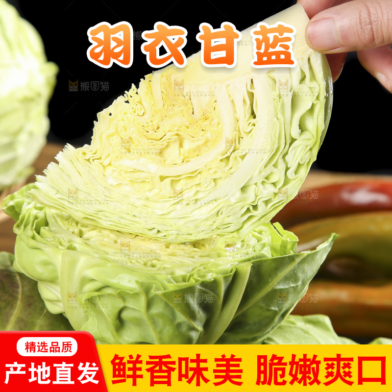 手里拿着洋白菜