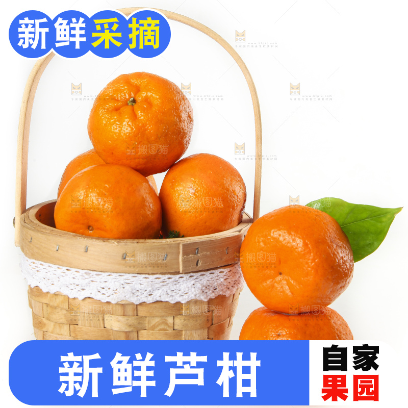 篮子里装着新鲜芦柑