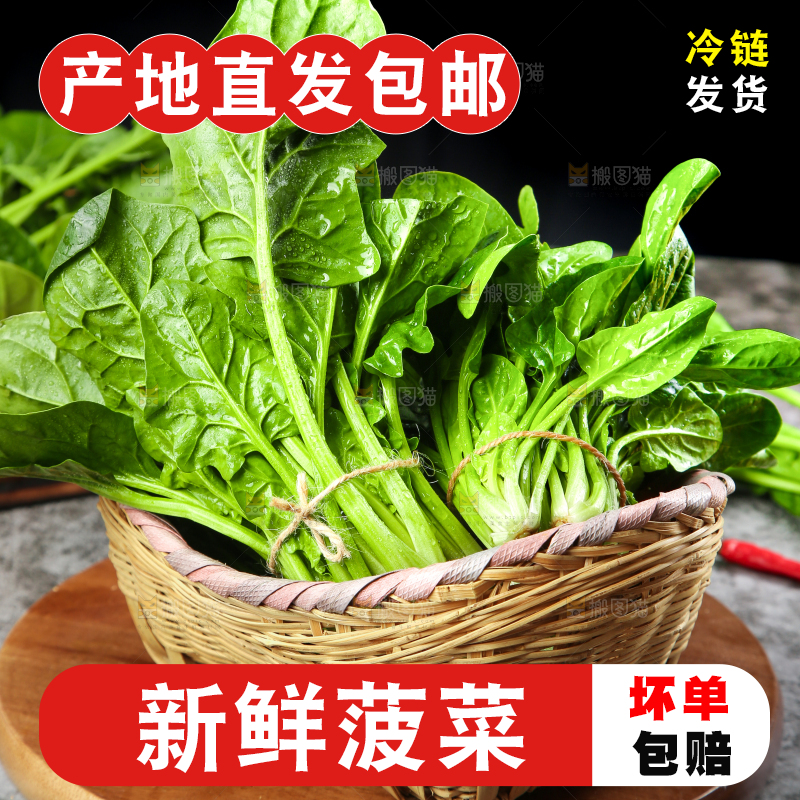 篮子里的红根菠菜