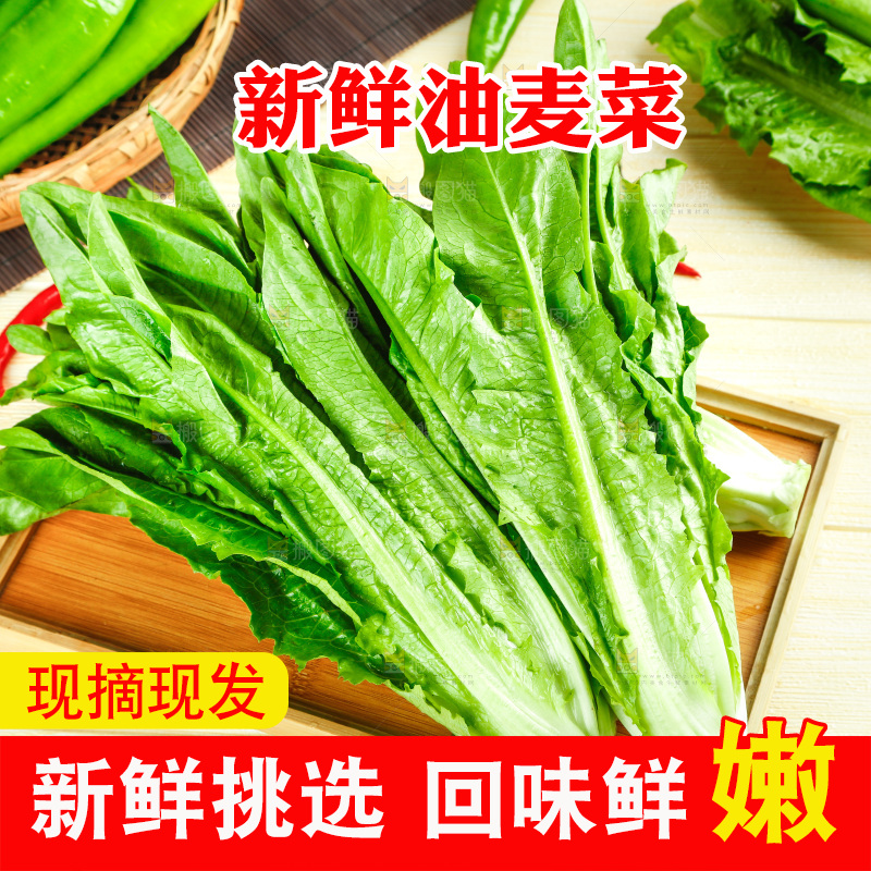 木板上的米香油麦菜