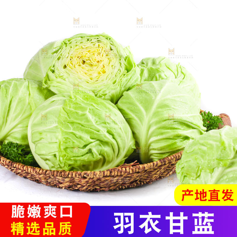 篮子里装绿甘蓝