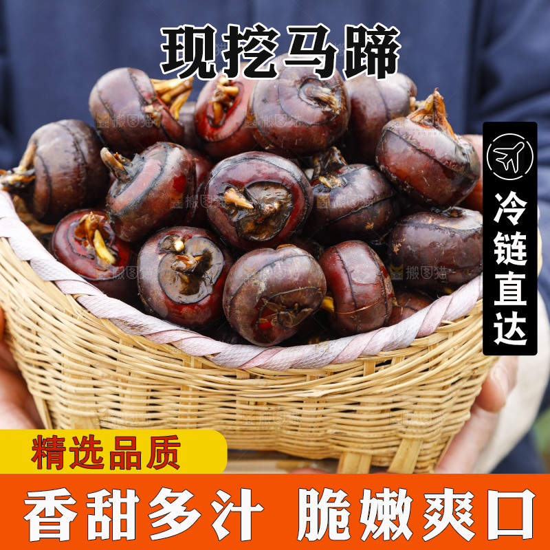 篮子里装着广西马蹄