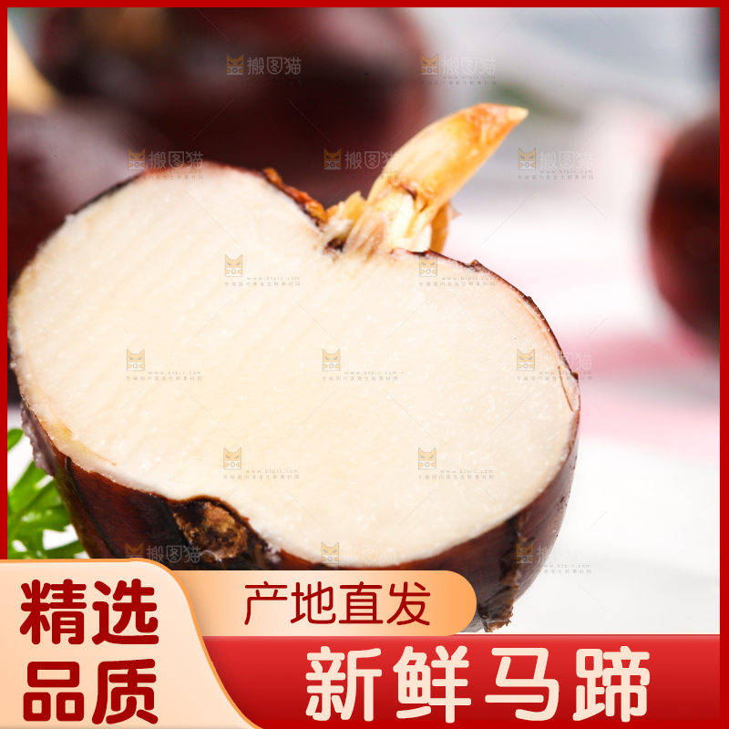 彩底上放着红马蹄