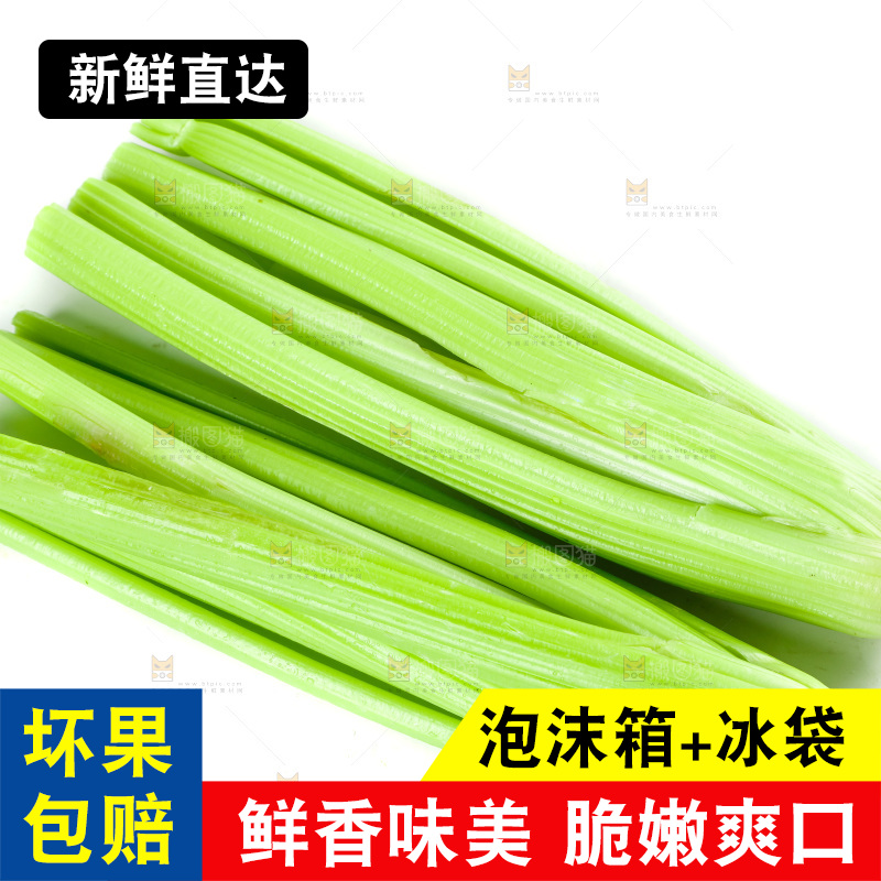 白底上放着西洋芹