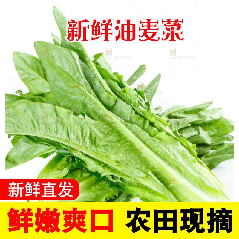 白底上放着油麦菜