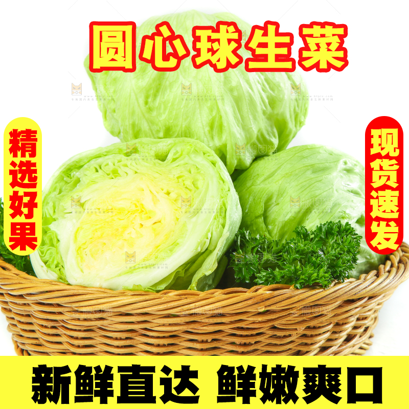 篮子里装着农家圆生菜