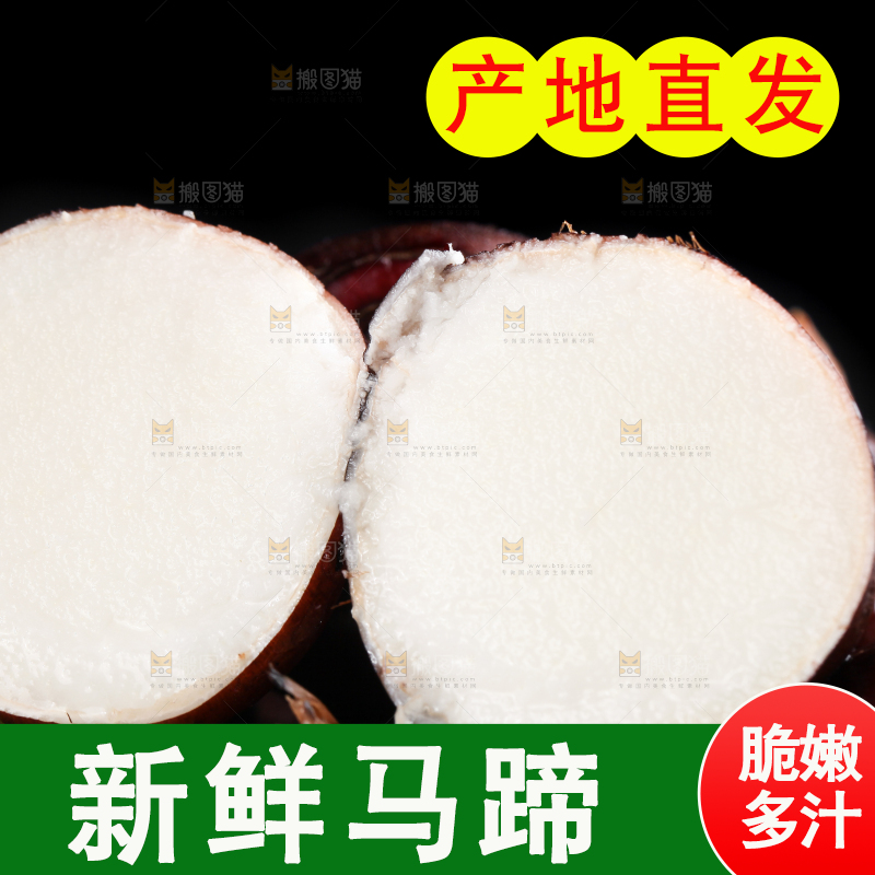 深底上的广西荔浦马蹄