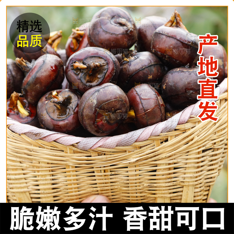 篮子里装着广西马蹄