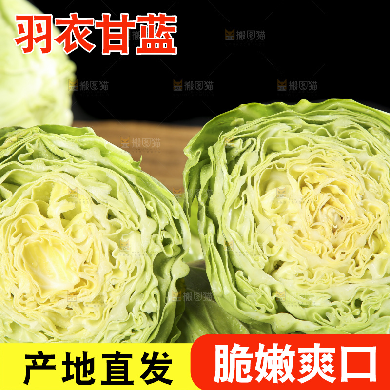篮子里装着绿甘蓝
