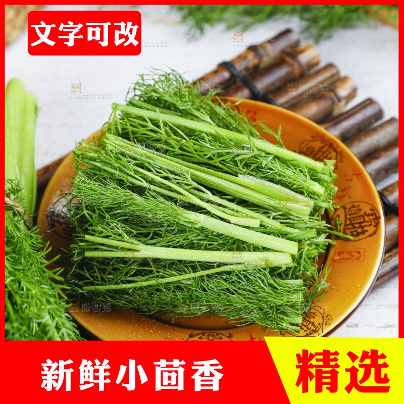 盘子里装着农家茴香菜