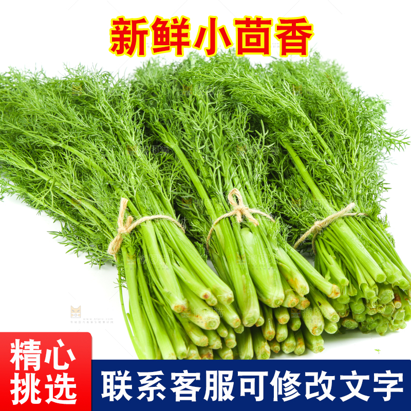 白底上放着小茴香