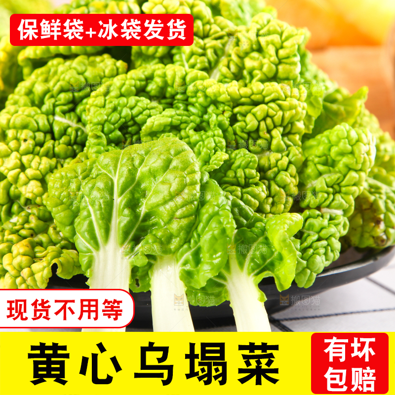 盘子里的黄心乌塌菜