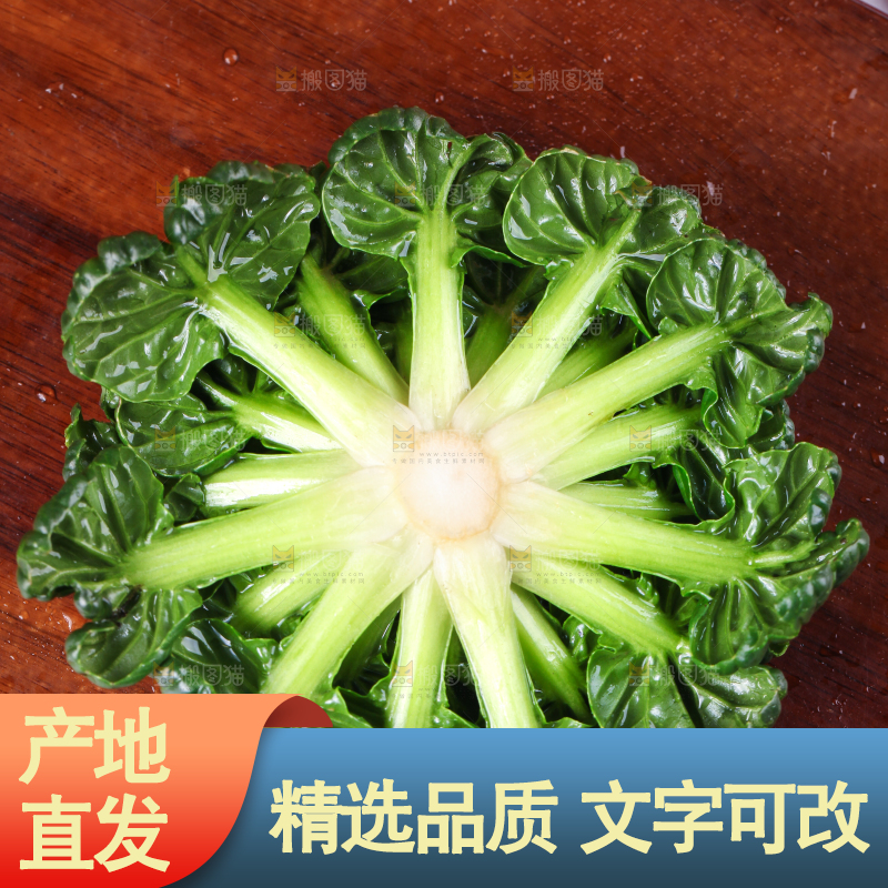 木板上的乌塌菜