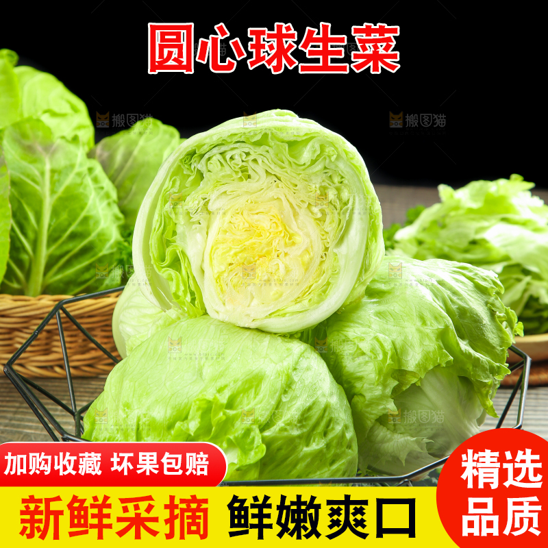 黑石板上放着圆生菜