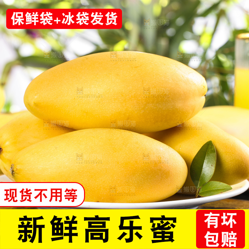 盘子里的玉芒