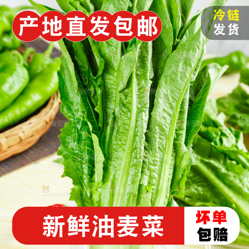 木板上的米香油麦菜
