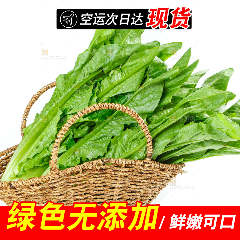 白底上放着油麦菜